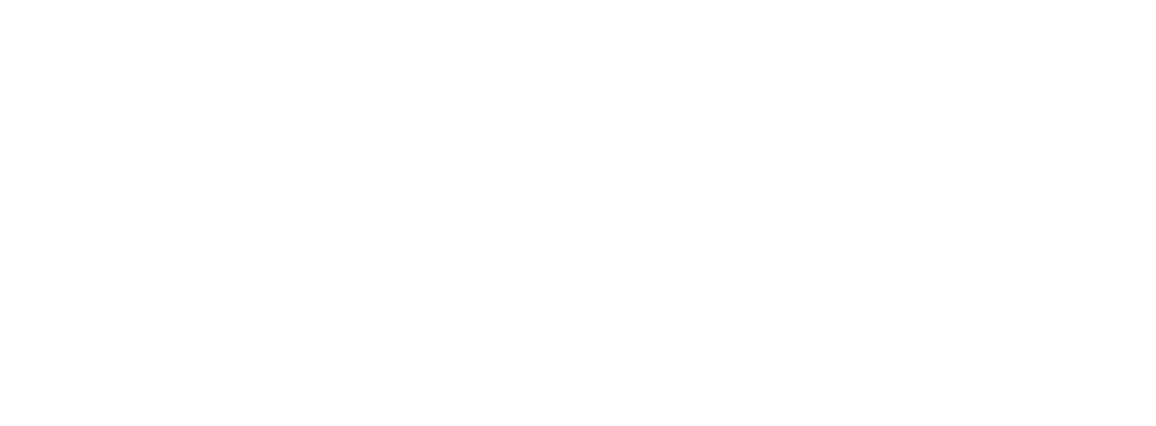 Europa V